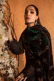 Rang Rasiya Premium Winter Edit'24 D-03